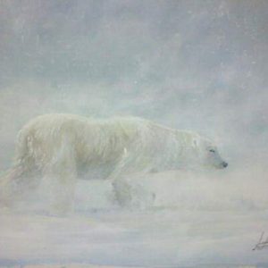 Polar Bear , Blizzard , Arctic ,
